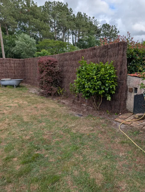Haie et clôture au fond du jardin