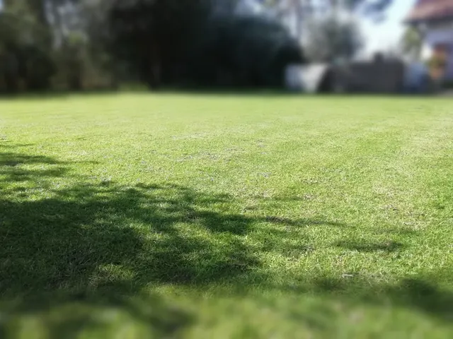 Entretien de jardin