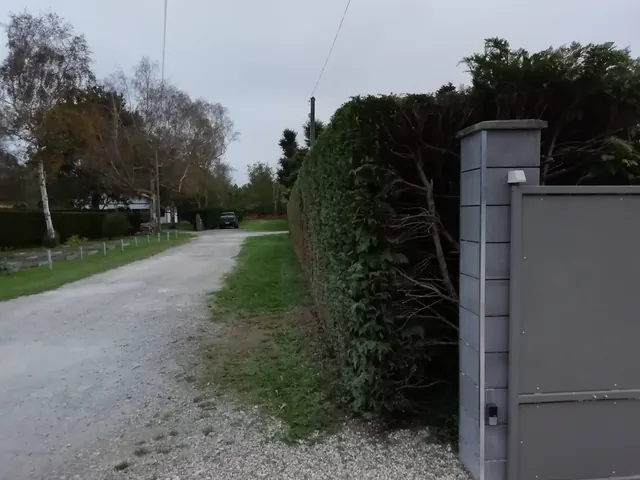 Entretien de jardin