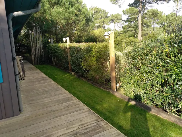 Entretien de jardin