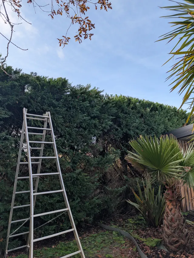 Entretien de jardin
