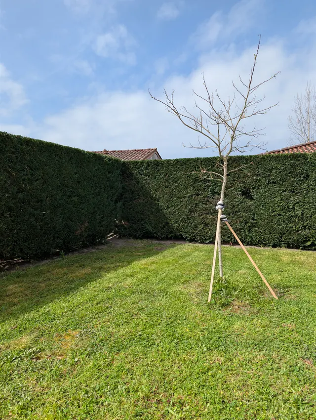 Entretien de jardin