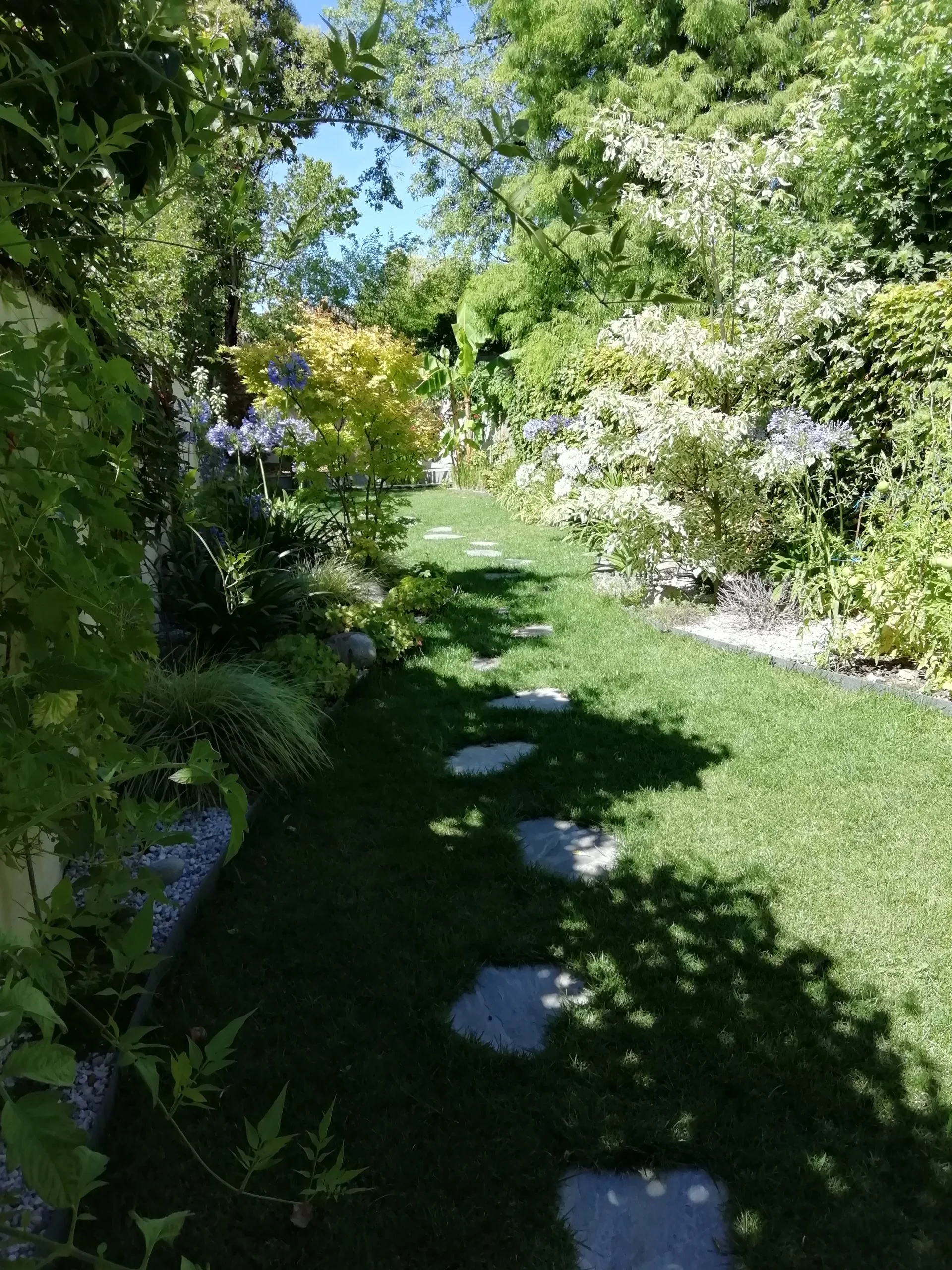 Un jardin verdoyant traversé par un chemin de pas japonais, entre arbres et massifs fleuris